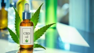 cbd oil canada